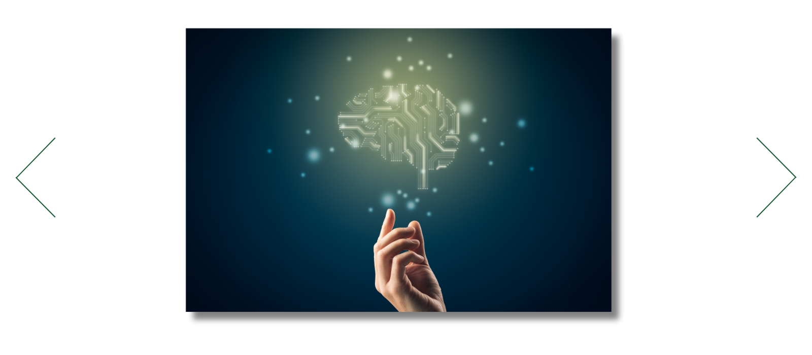 Bring Your Own AI and Models